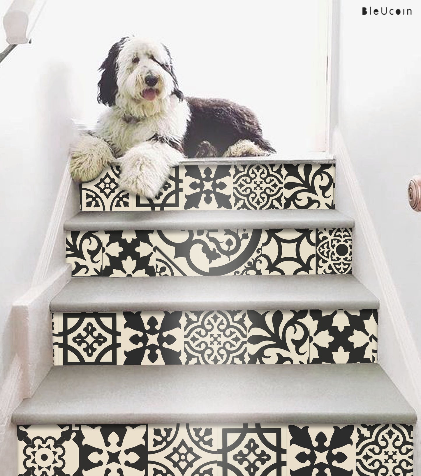 Coimbra Peel & Stick Tile