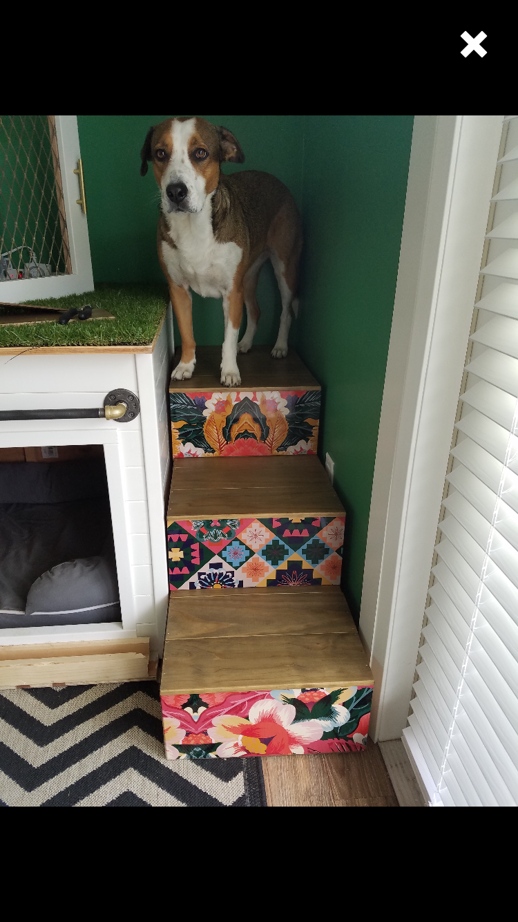 Tropical Peel & Stick Stair Strip